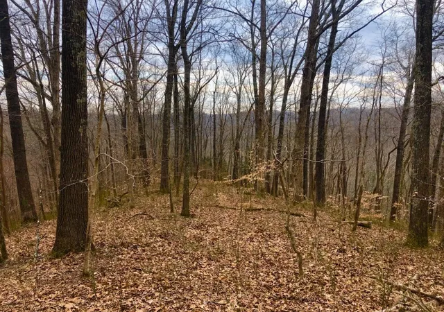 Homes for sale in Whites Creek, TN | 0 Simpkins Rd, Whites Creek, TN 37189 | MLS# 3246802
