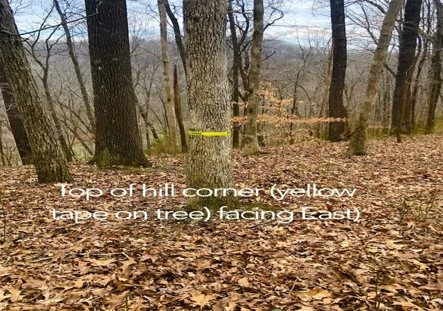 Photo 4 of Land for sale at 0 Simpkins Rd, Whites Creek, TN 37189 | MLS# 3246802 | Listing updated on 2026-07-13