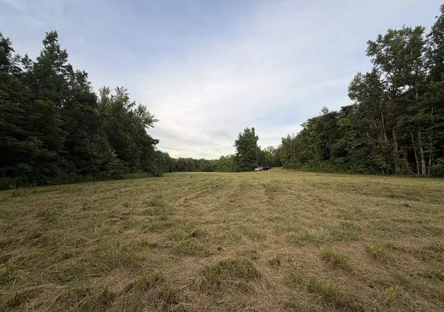 Homes for sale in Holladay, TN | 0 Dry Branch Rd, Holladay, TN 38341 | MLS# 3247519