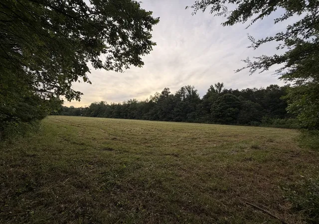 Homes for sale in Holladay, TN | 0 Dry Branch Rd, Holladay, TN 38341 | MLS# 3247519