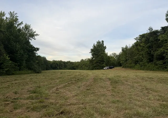 Homes for sale in Holladay, TN | 0 Dry Branch Rd, Holladay, TN 38341 | MLS# 3247519