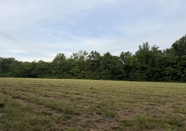 Homes for sale in Holladay, TN | 0 Dry Branch Rd, Holladay, TN 38341 | MLS# 3247519