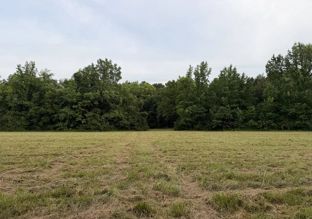 Homes for sale in Holladay, TN | 0 Dry Branch Rd, Holladay, TN 38341 | MLS# 3247519