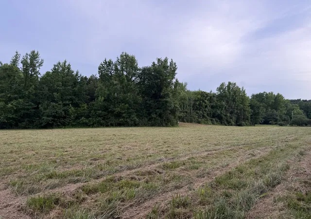 Homes for sale in Holladay, TN | 0 Dry Branch Rd, Holladay, TN 38341 | MLS# 3247519