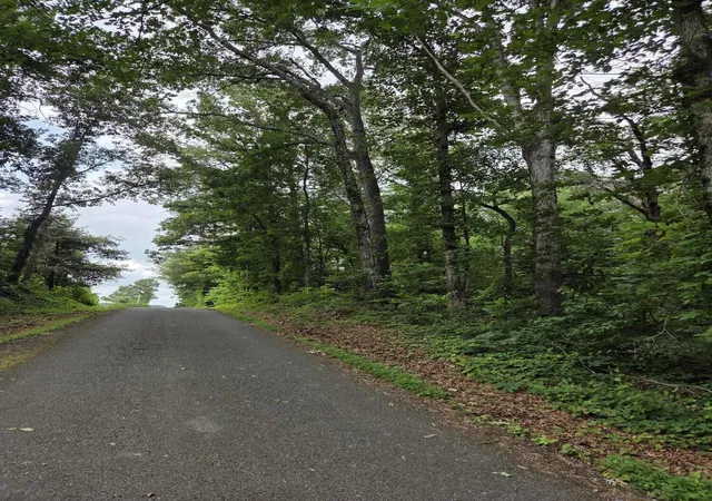 Homes for sale in Riceville, TN | 0 County Road 156, Riceville, TN 37370 | MLS# 3246865