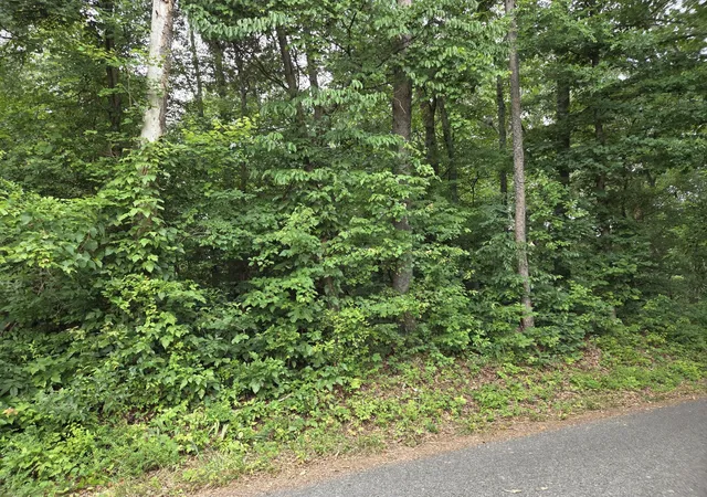 Homes for sale in Riceville, TN | 0 County Road 156, Riceville, TN 37370 | MLS# 3246865