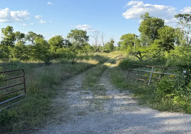 20th image of 0 Taylor Rd E, Rockvale, TN 37153 | MLS# 3246901
