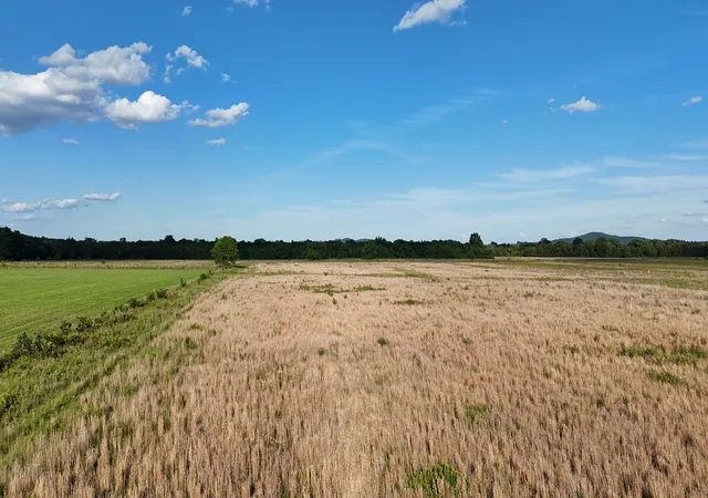 3rd image of 0 Taylor Rd E, Rockvale, TN 37153 | MLS# 3246901