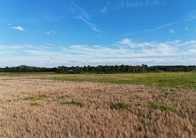 4th image of 0 Taylor Rd E, Rockvale, TN 37153 | MLS# 3246901