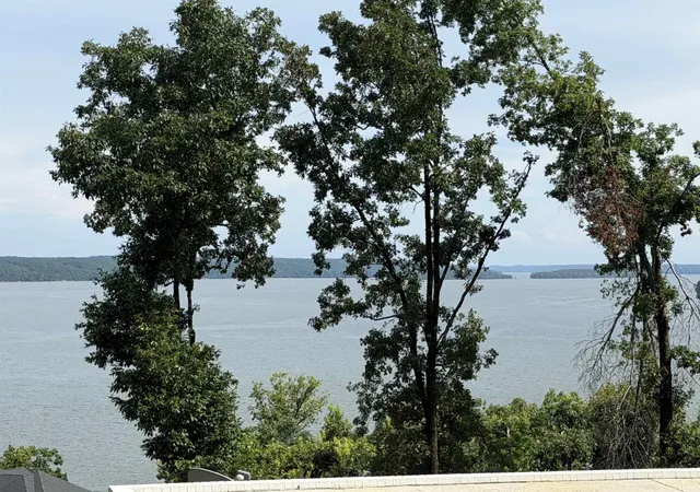 Photo 3 of Single family home for sale at 80 Endless View Rdg, Savannah, TN 38372 | MLS# 3247024 | Listing updated on 2026-09-02