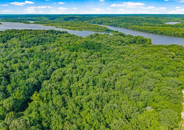 Homes for sale in Bumpus Mills, TN | 0 Forest Trail, Bumpus Mills, TN 37028 | MLS# 3270710