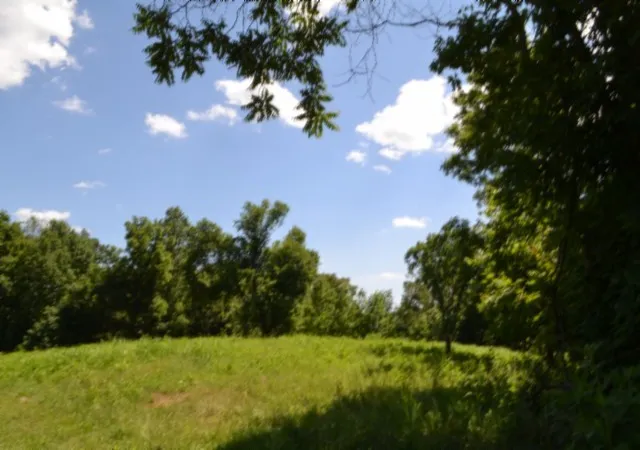 Homes for sale in Celina, TN | 0 Pea Ridge Fire Tower Rd, Celina, TN 38551 | MLS# 3247059