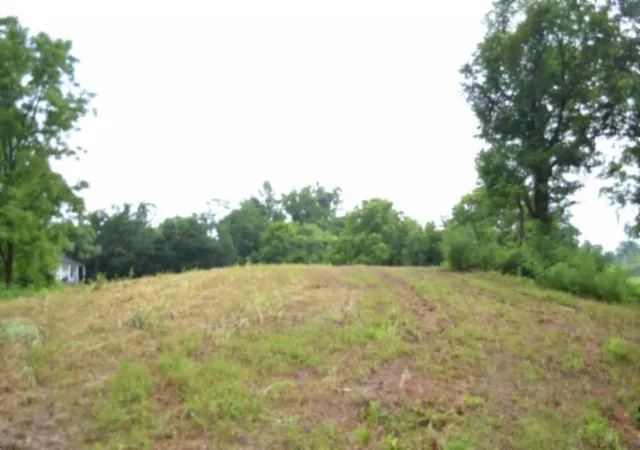 Homes for sale in Celina, TN | 0 Pea Ridge Fire Tower Rd, Celina, TN 38551 | MLS# 3247059