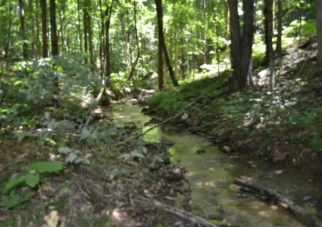 Homes for sale in Celina, TN | 0 Pea Ridge Fire Tower Rd, Celina, TN 38551 | MLS# 3247059