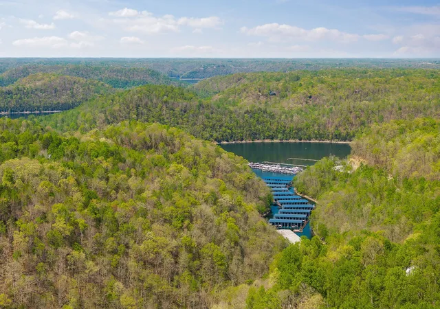 Land for sale at 4701 Sparta Hwy, Smithville, TN 37166 | MLS# 3247217