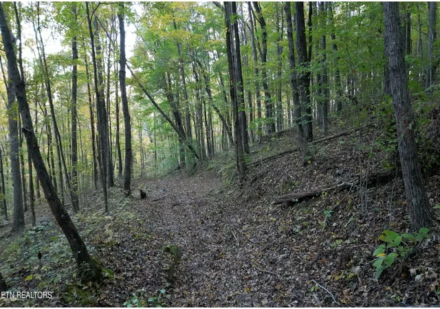 15th image of 0 Turners Bend Rd, Mc Minnville, TN 37110 | MLS# 3247230