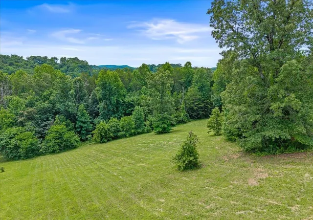 Homes for sale in Madisonville, TN | 101 Copper Still Way, Madisonville, TN 37354 | MLS# 3247265