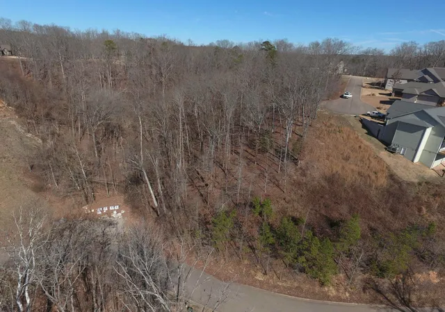 Homes for sale in Savannah, TN | 51 Legacy Pt, Savannah, TN 38372 | MLS# 3247388