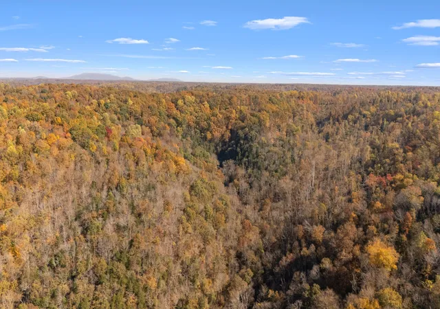 Photo 3 of Land for sale at 2 Burt Burgen Rd, Woodbury, TN 37190 | MLS# 3627570 | Listing updated on 2026-10-27