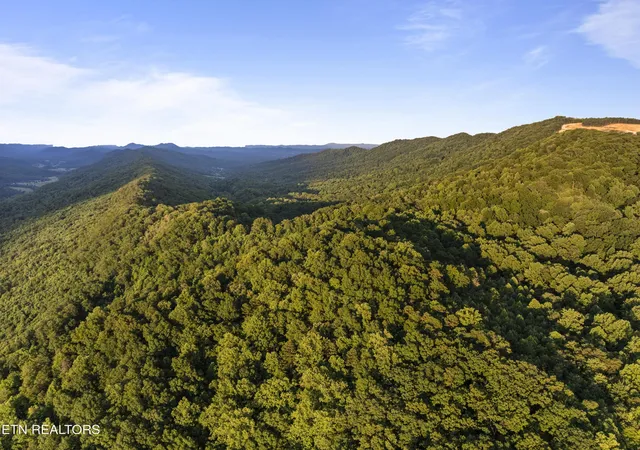 Homes for sale in Mooresburg, TN | 0 Spruce Pine (330 Acres) Rd, Mooresburg, TN 37811 | MLS# 3247446