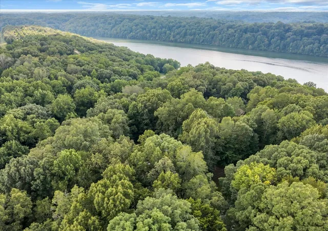 56th image of 330 Fire Lake Dr, Manchester, TN 37355 | MLS# 3319765