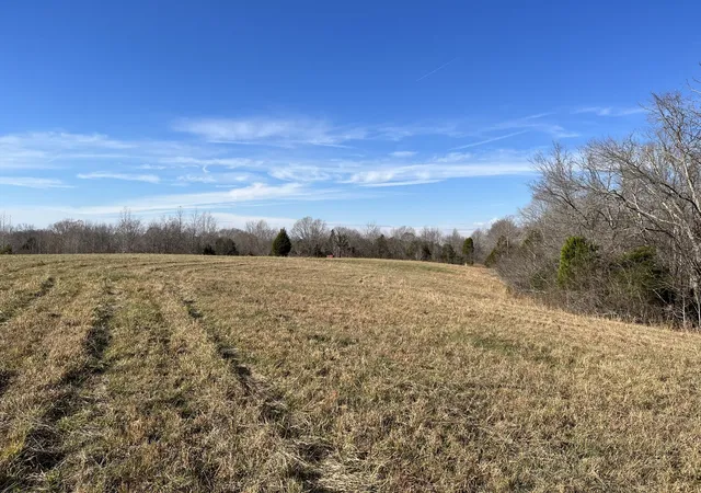 Photo 3 of Land for sale at 0 Frey St, Ashland City, TN 37015 | MLS# 3248537 | Listing updated on 2026-08-19
