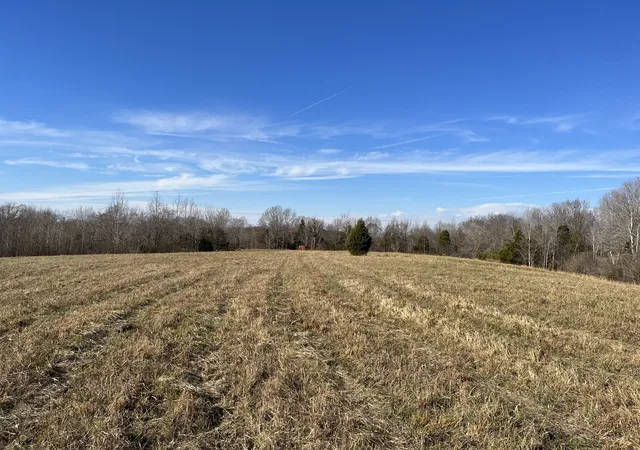 Photo 4 of Land for sale at 0 Frey St, Ashland City, TN 37015 | MLS# 3248537 | Listing updated on 2026-08-19