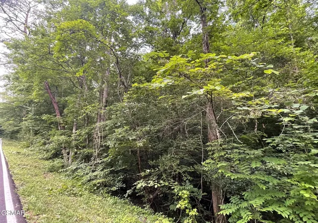 4th image of 1477 Old Chilhowee Road, Seymour, TN 37865 | MLS# 3268910