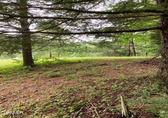 5th image of 1477 Old Chilhowee Road, Seymour, TN 37865 | MLS# 3268910