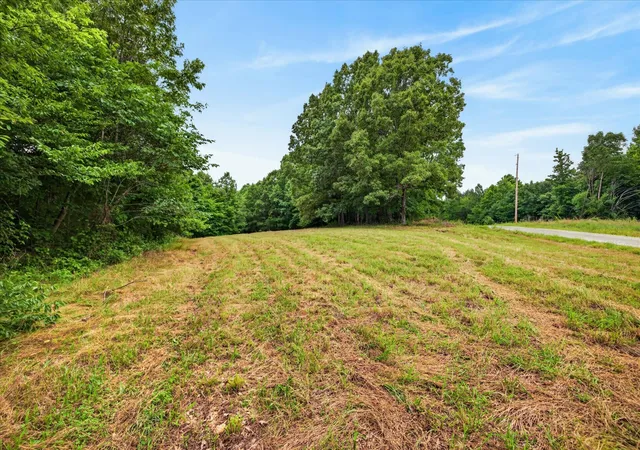 Homes for sale in Dover, TN | 0 Homestead Court, Dover, TN 37058 | MLS# 3247687