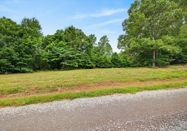 Homes for sale in Dover, TN | 0 Homestead Court, Dover, TN 37058 | MLS# 3247687
