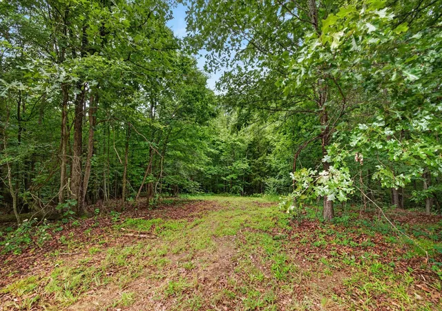 Homes for sale in Dover, TN | 0 Homestead Court, Dover, TN 37058 | MLS# 3247687