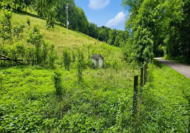 Homes for sale in Cornersville, TN | 2039 Blackburn Hollow Rd, Cornersville, TN 37047 | MLS# 3247949