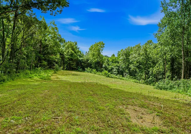 5th image of 189 Bud Pvt Ln, Cottontown, TN 37048 | MLS# 3297953