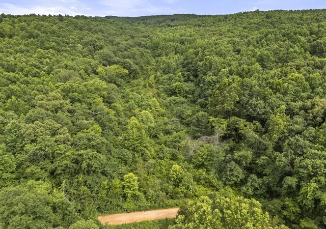 Homes for sale in Linden, TN | 0 Rockhouse Rd, Linden, TN 37096 | MLS# 3247736