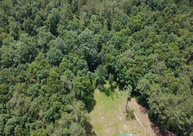 Homes for sale in Hohenwald, TN | 159 Topsy Rd, Hohenwald, TN 38462 | MLS# 3260764