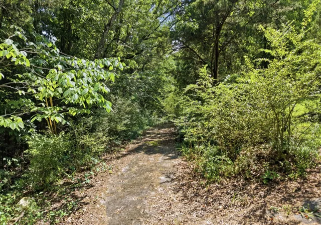 Photo 3 of Land for sale at 0 Green Shanty Rd, Chattanooga, TN 37421 | MLS# 3248254 | Listing updated on 2026-08-05
