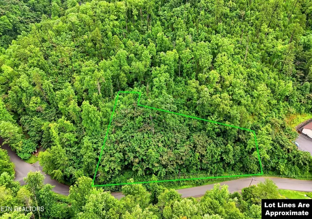 Homes for sale in Gatlinburg, TN | 127 Beech Branch Rd, Gatlinburg, TN 37738 | MLS# 3248015