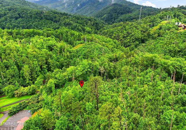 Homes for sale in Gatlinburg, TN | 127 Beech Branch Rd, Gatlinburg, TN 37738 | MLS# 3248015