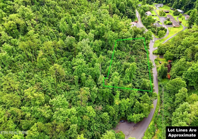 Homes for sale in Gatlinburg, TN | 127 Beech Branch Rd, Gatlinburg, TN 37738 | MLS# 3248015