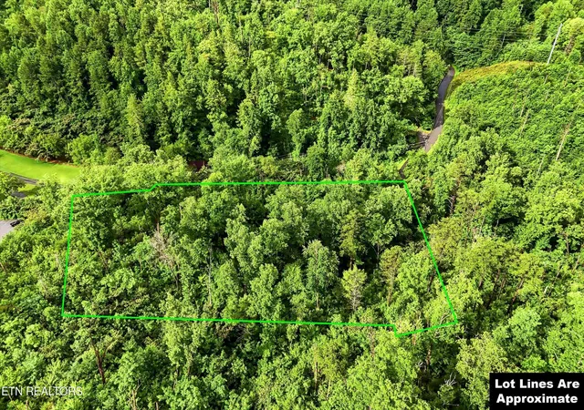 Homes for sale in Gatlinburg, TN | 127 Beech Branch Rd, Gatlinburg, TN 37738 | MLS# 3248015