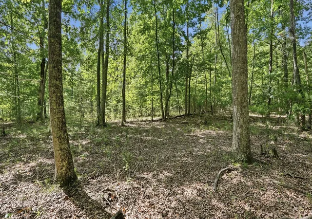 Homes for sale in Monteagle, TN | 0 Eagle Crest Circle, Monteagle, TN 37356 | MLS# 3248112