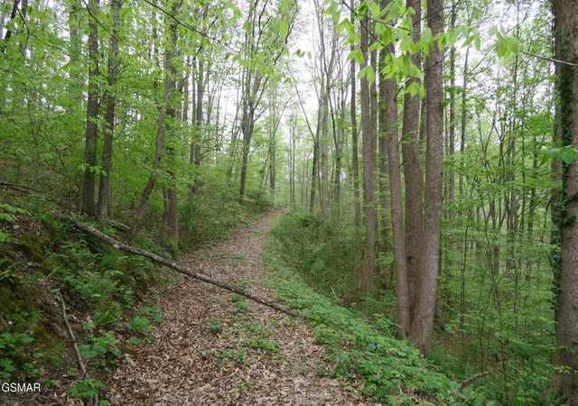 2nd image of 250 Mountain Side Lane, Lake City, TN 37769 | MLS# 3278475
