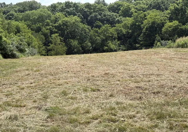 3rd image of 0 Pepper Road, Franklin, KY 42134 | MLS# 3248184