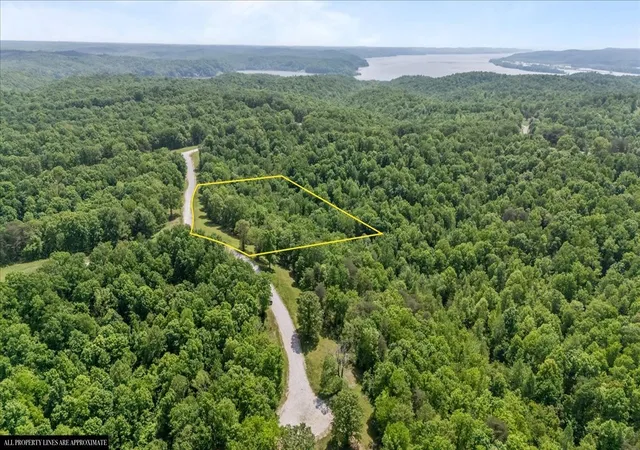 Homes for sale in Waverly, TN | 0 Western Road, Waverly, TN 37185 | MLS# 3250485