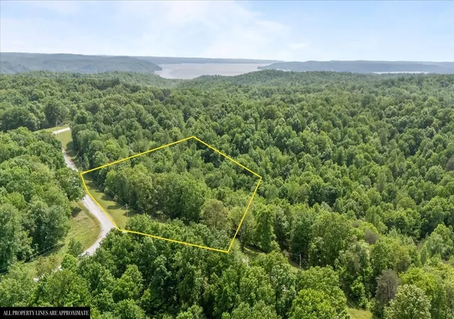 Homes for sale in Waverly, TN | 0 Western Road, Waverly, TN 37185 | MLS# 3250485