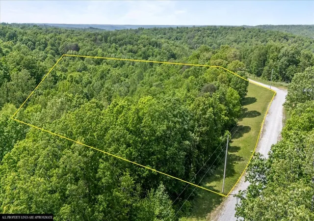 Homes for sale in Waverly, TN | 0 Western Road, Waverly, TN 37185 | MLS# 3250485