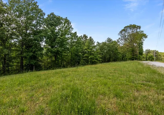 Homes for sale in Waverly, TN | 0 Western Road, Waverly, TN 37185 | MLS# 3250485