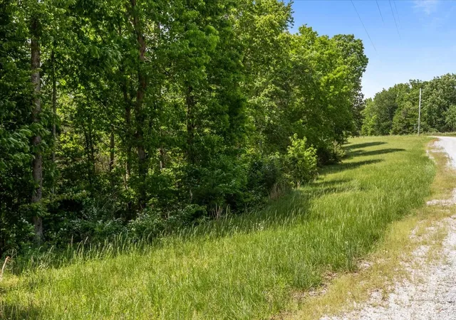 Homes for sale in Waverly, TN | 0 Western Road, Waverly, TN 37185 | MLS# 3250485