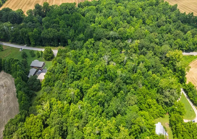 Homes for sale in Decherd, TN | 0 Oak Grove Rd, Decherd, TN 37324 | MLS# 3255994